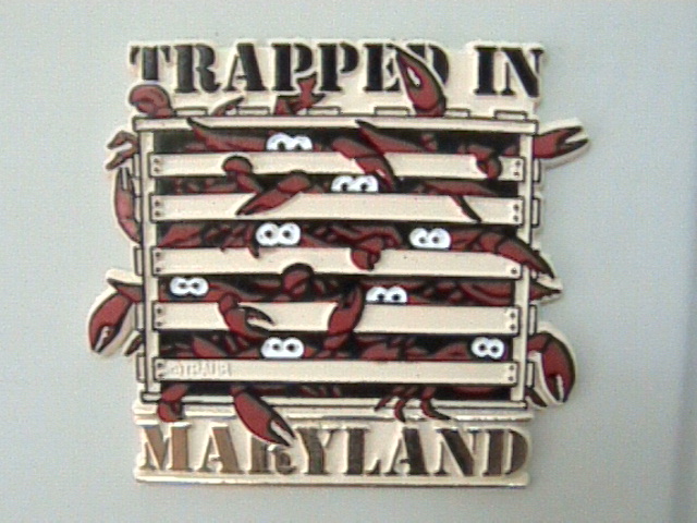 Refrigerator Magnet